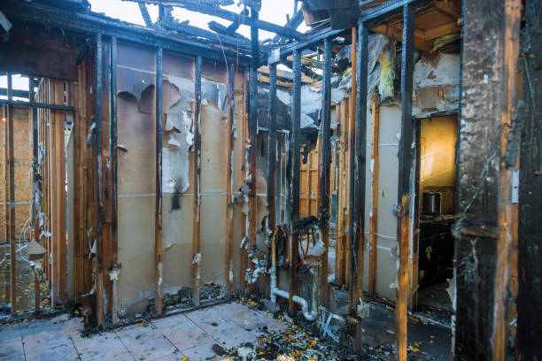 Professional Fire Damage Removal technician working in Combee Settlement, FL